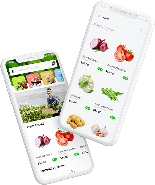 groshop wordpress based grocery with delivery app
